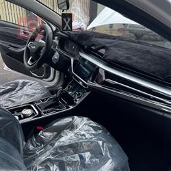 شيري أريزو 6